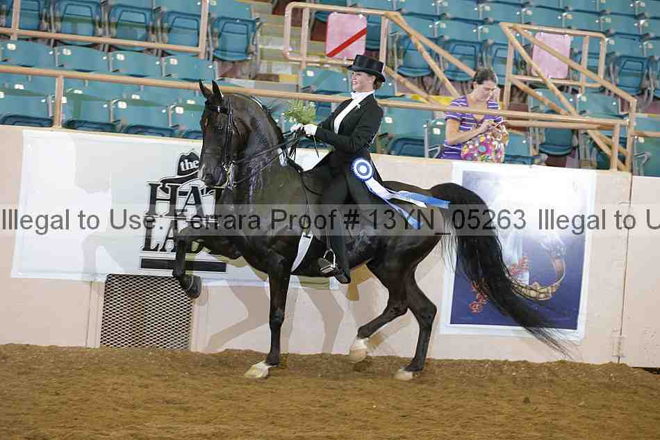 Proof 13yn_05263