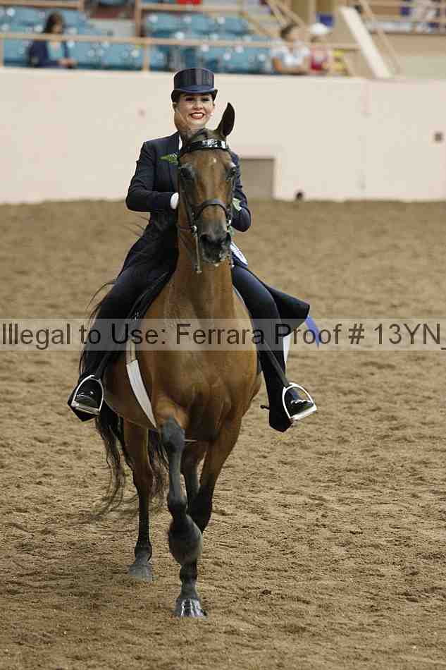 Proof 13yn_05266