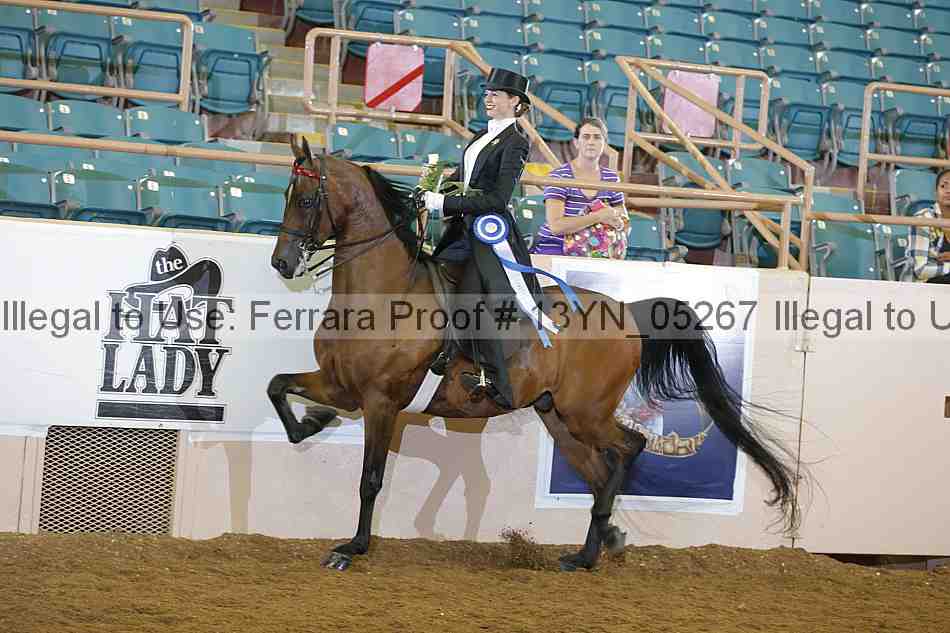 Proof 13yn_05267