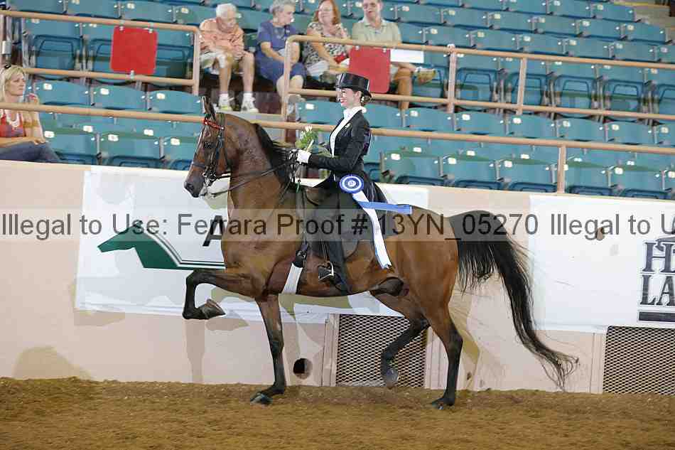 Proof 13yn_05270