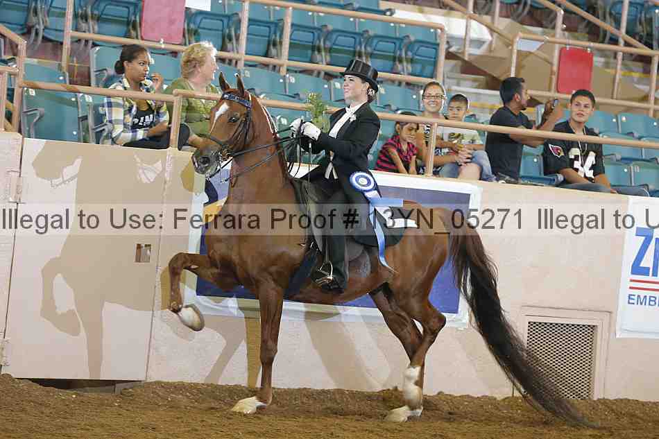 Proof 13yn_05271