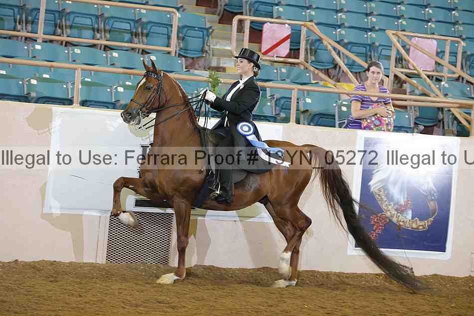 Proof 13yn_05272