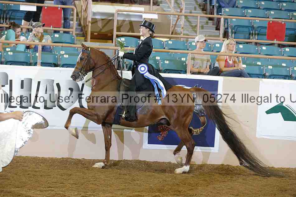 Proof 13yn_05274