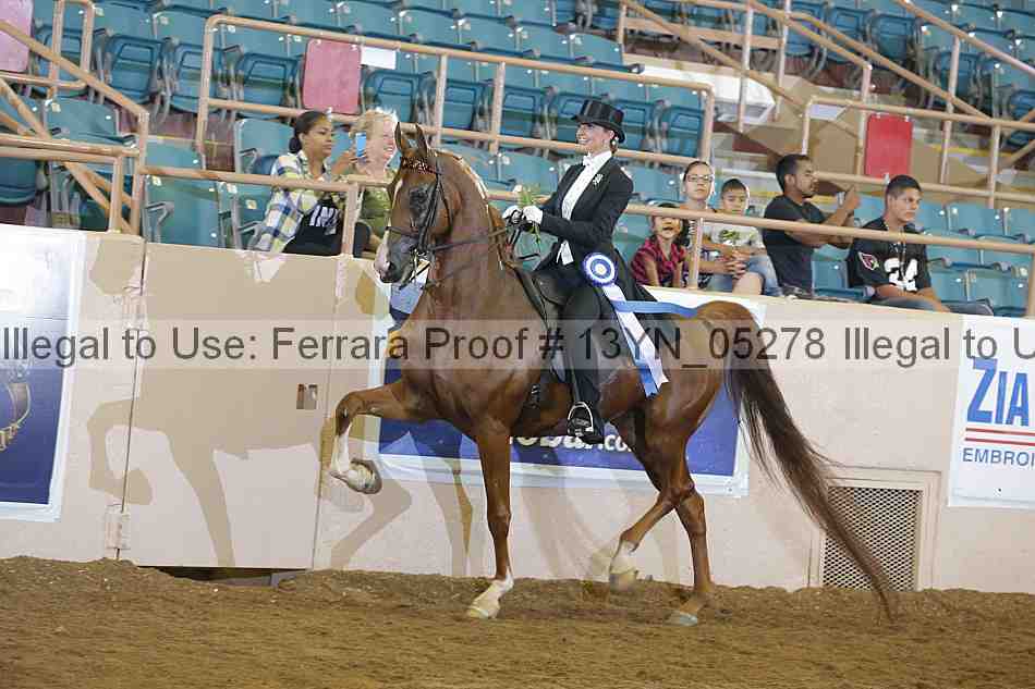 Proof 13yn_05278