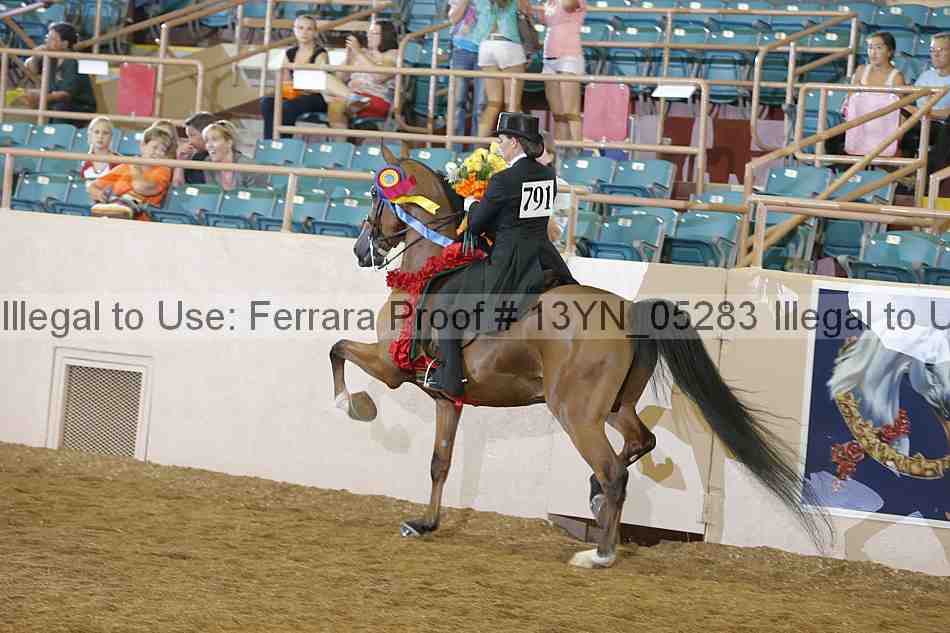 Proof 13yn_05283