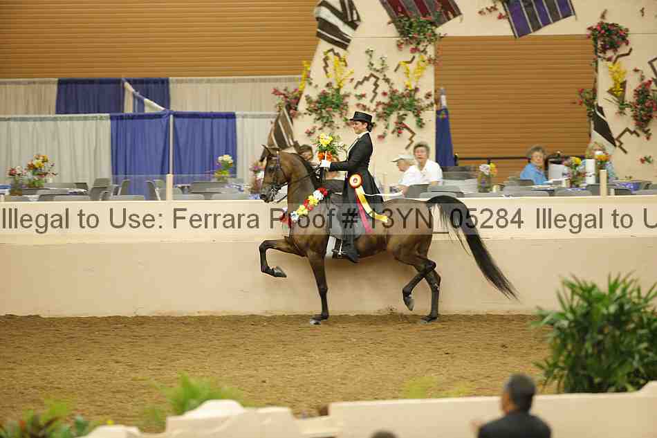 Proof 13yn_05284