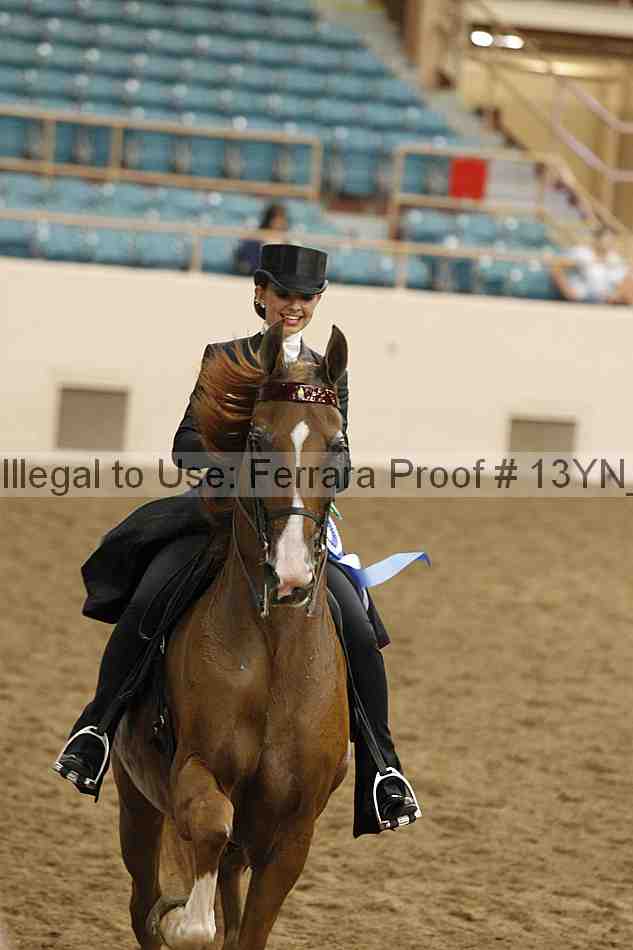 Proof 13yn_05286