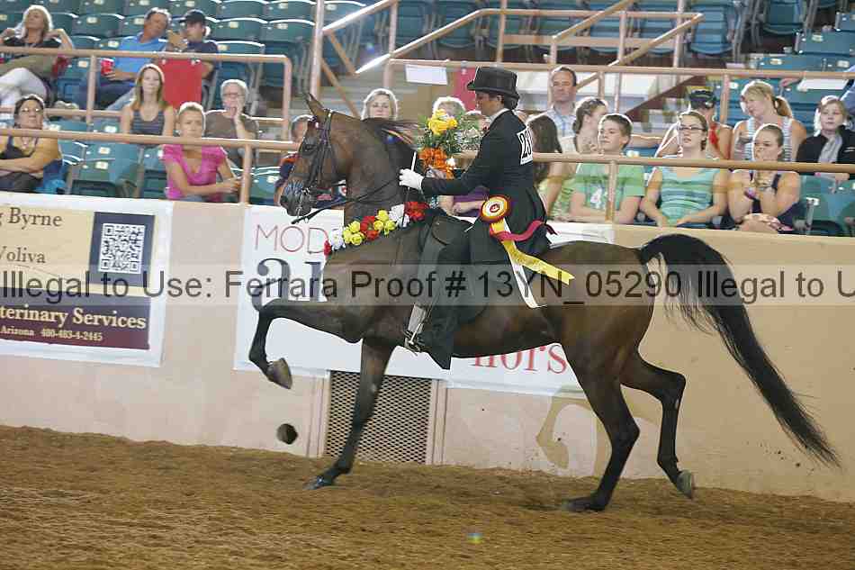 Proof 13yn_05290