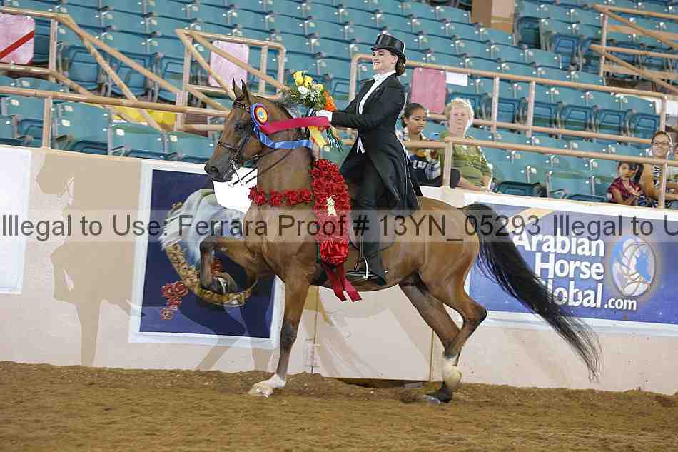 Proof 13yn_05293