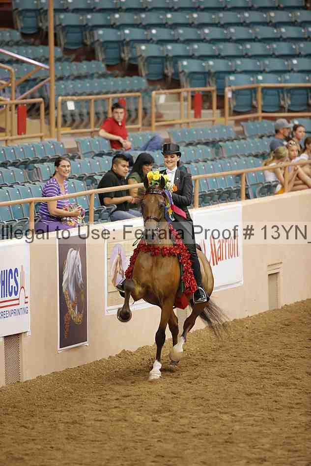 Proof 13yn_05294