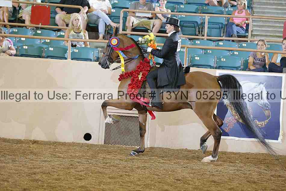 Proof 13yn_05295