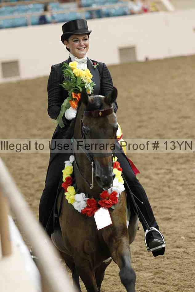 Proof 13yn_05296