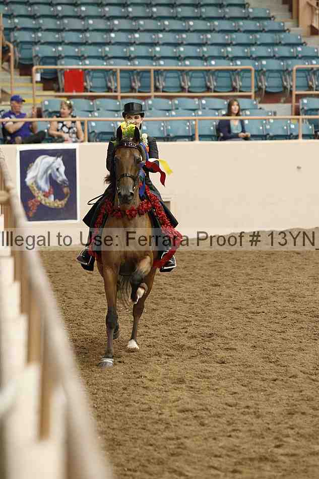 Proof 13yn_05299