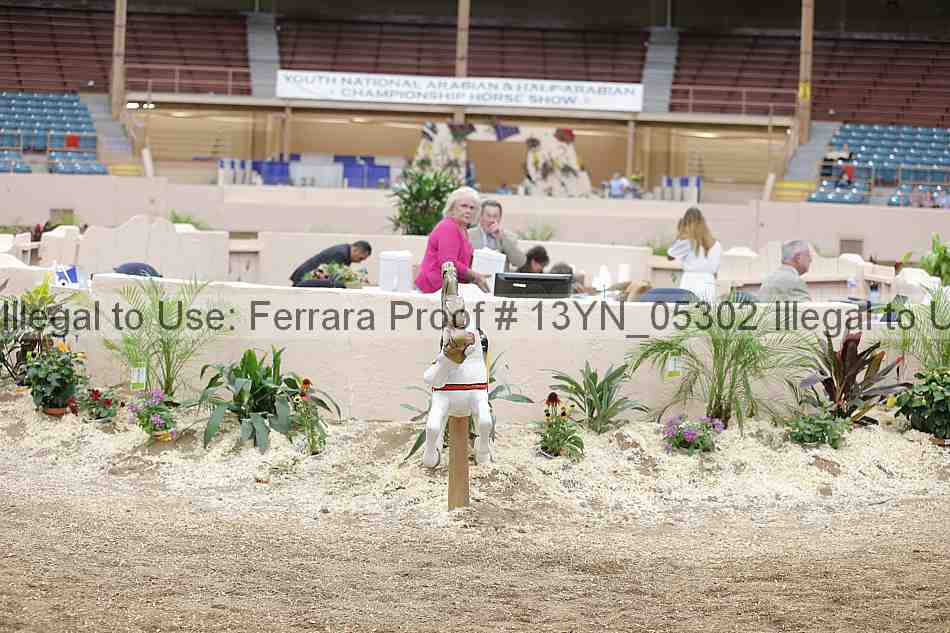 Proof 13yn_05302