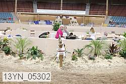 13yn_05302 proof