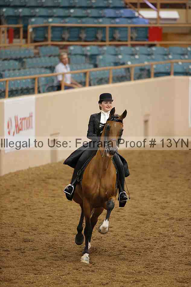 Proof 13yn_01342
