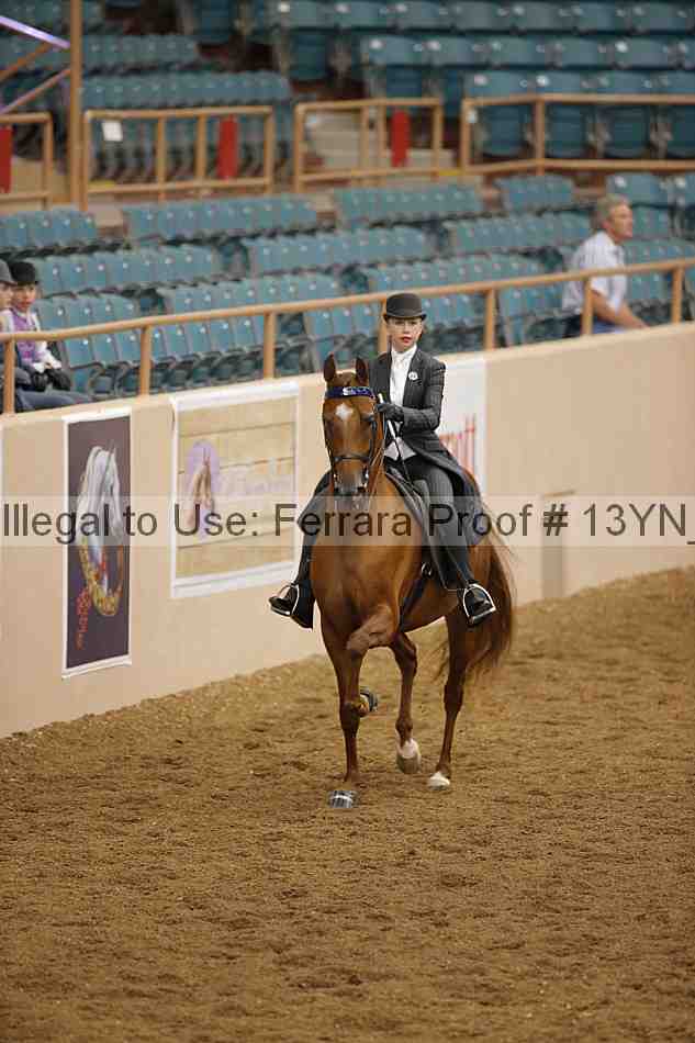 Proof 13yn_01348