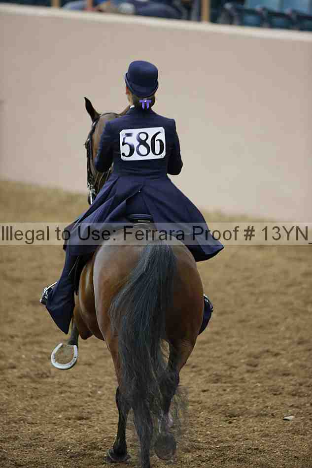 Proof 13yn_01351