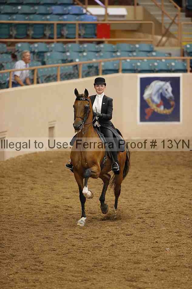 Proof 13yn_01355