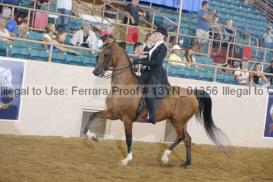 Proof 13yn_01356