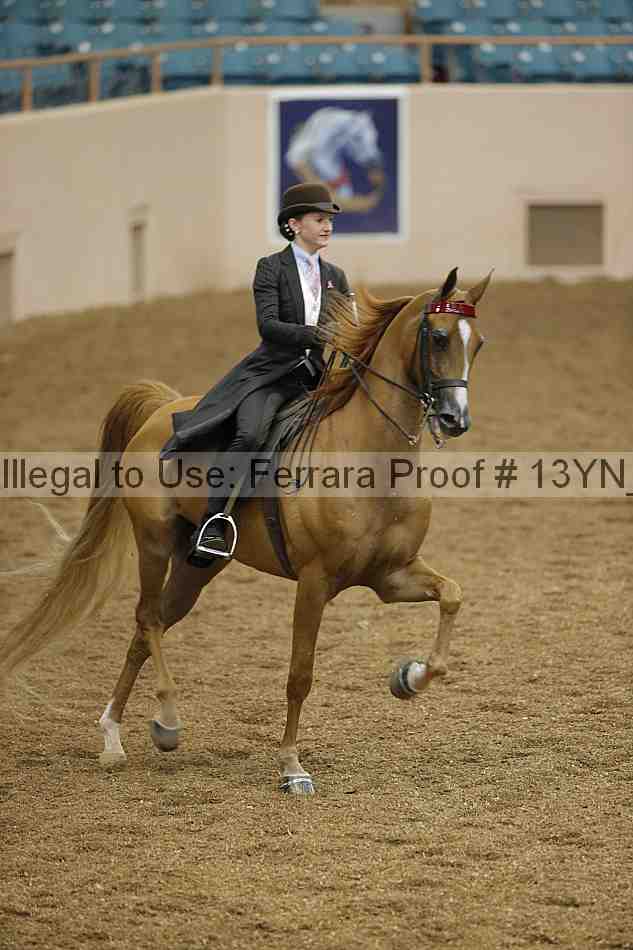 Proof 13yn_01358