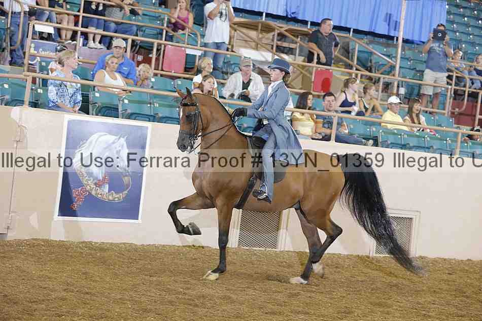 Proof 13yn_01359