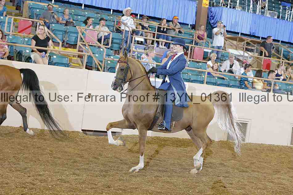 Proof 13yn_01361