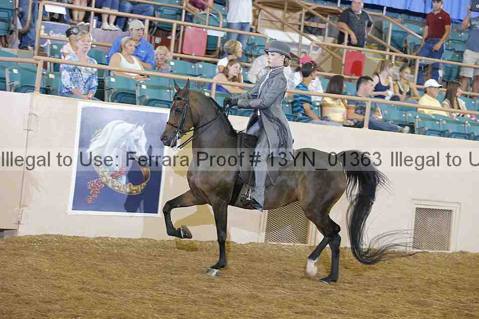 Proof 13yn_01363