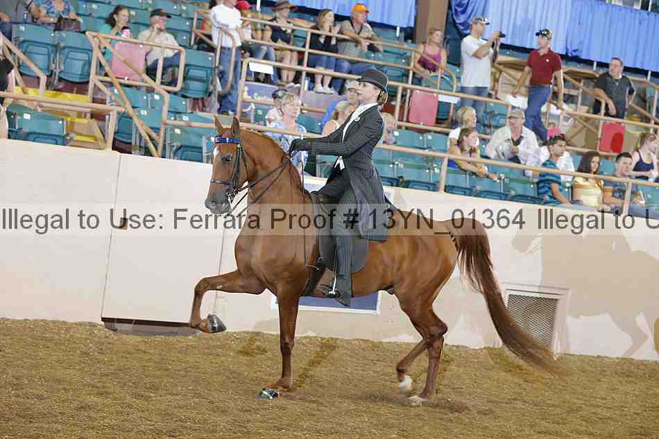 Proof 13yn_01364