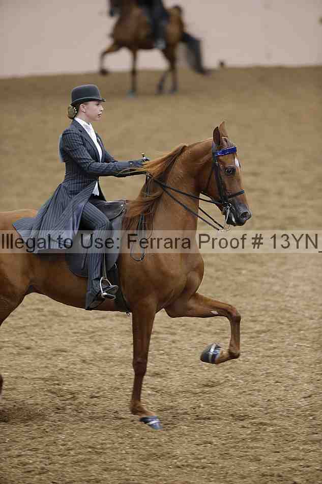 Proof 13yn_01365