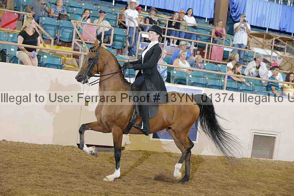 Proof 13yn_01374