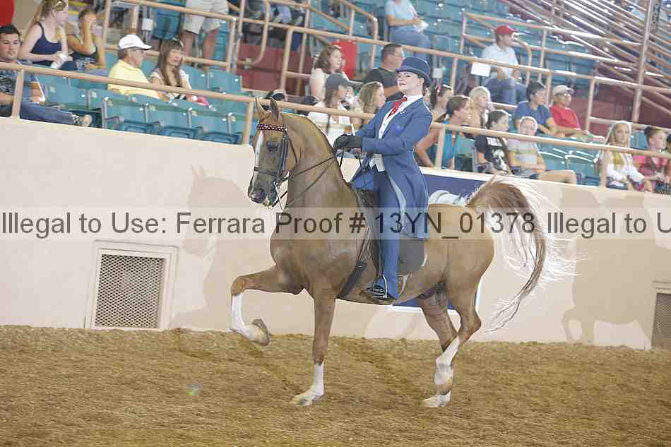 Proof 13yn_01378