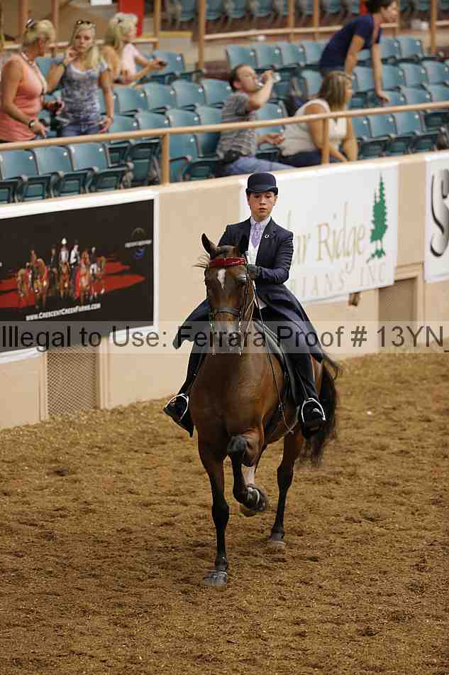 Proof 13yn_01379