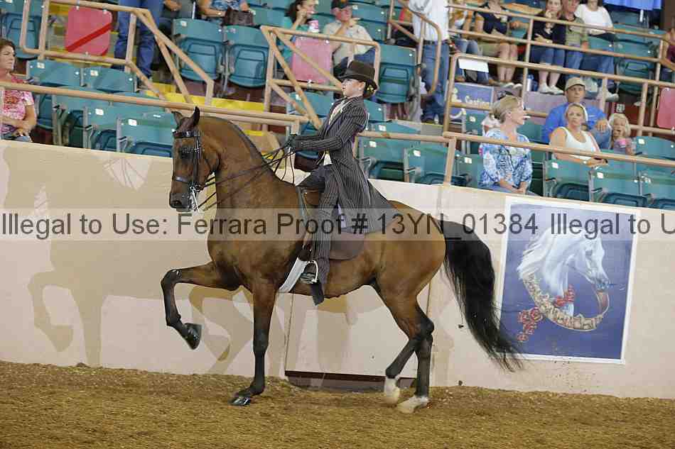 Proof 13yn_01384