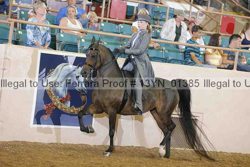 Proof 13yn_01385