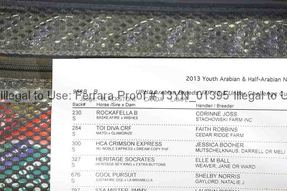 Proof 13yn_01395