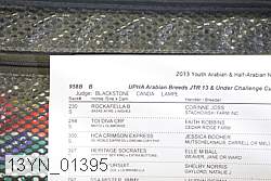 13yn_01395 proof