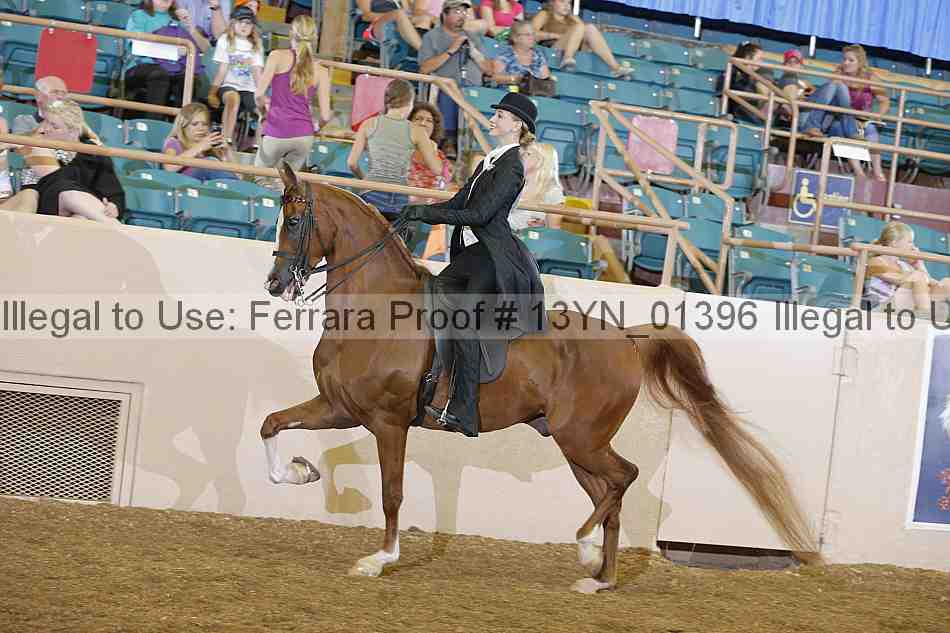 Proof 13yn_01396
