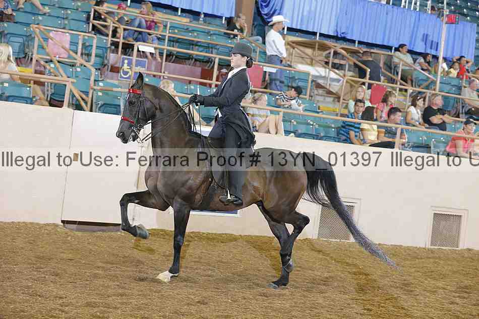 Proof 13yn_01397