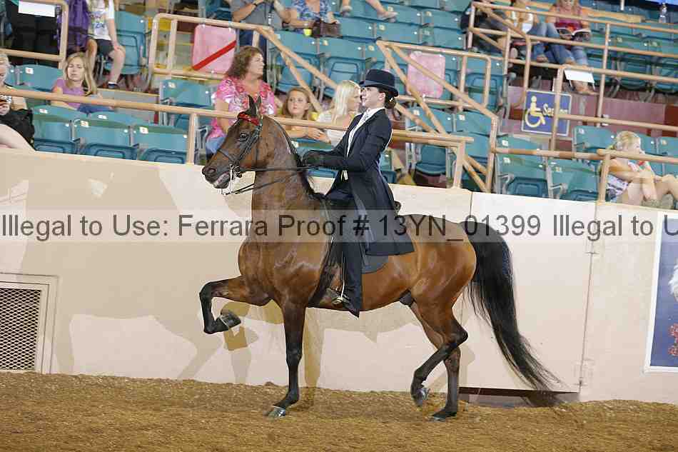 Proof 13yn_01399