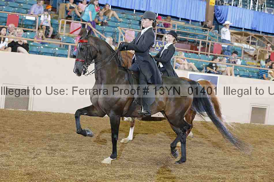 Proof 13yn_01401