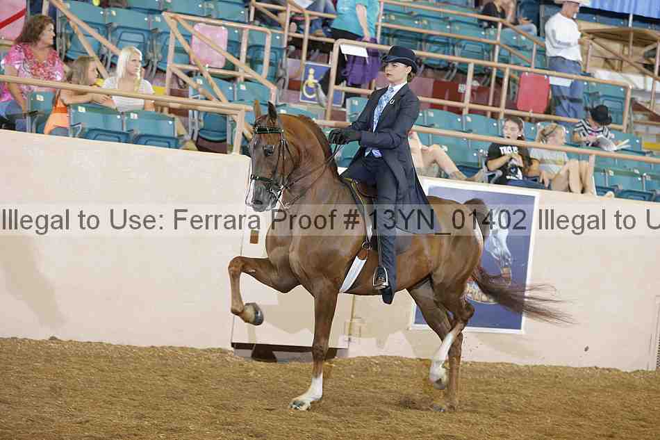 Proof 13yn_01402