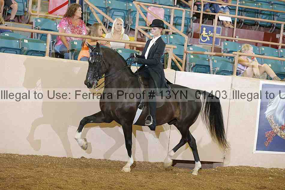 Proof 13yn_01403