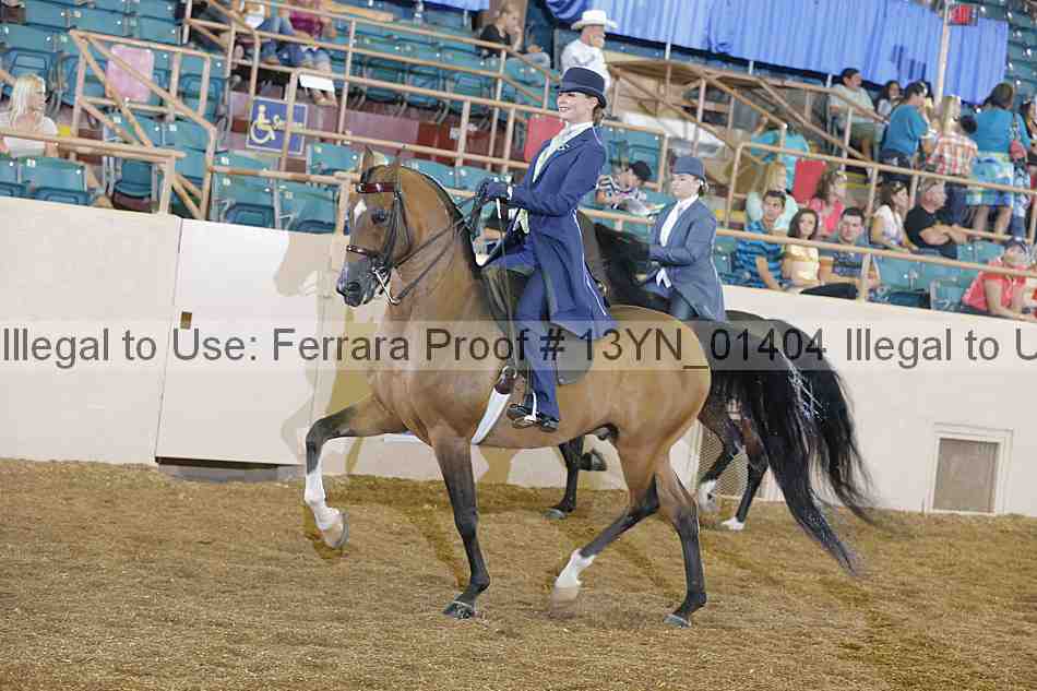 Proof 13yn_01404