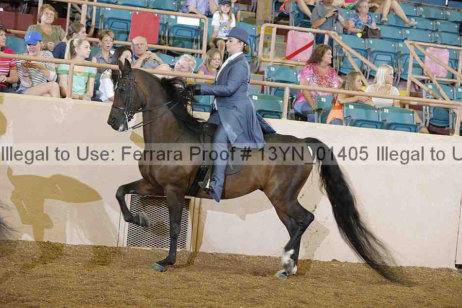 Proof 13yn_01405