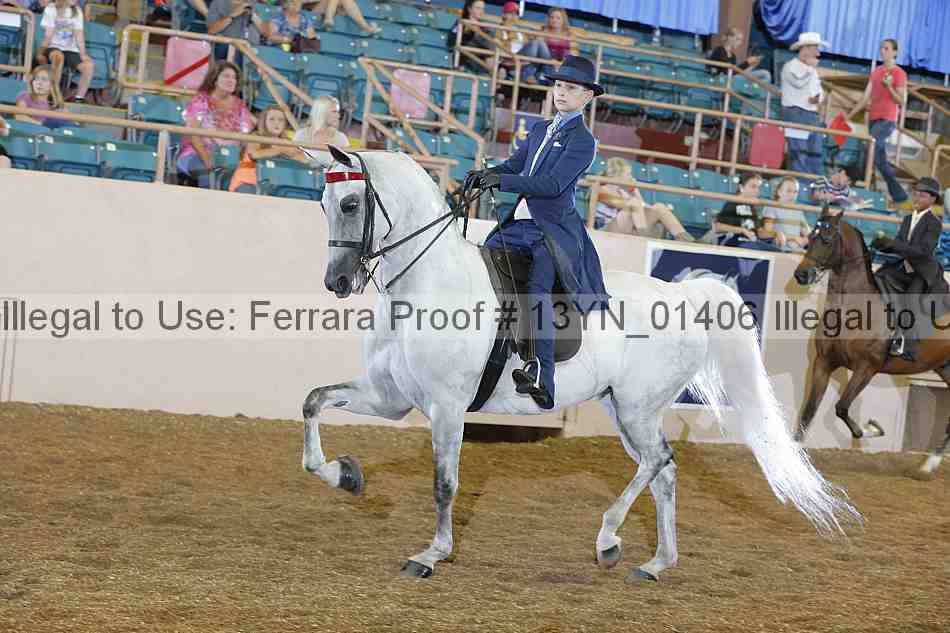 Proof 13yn_01406