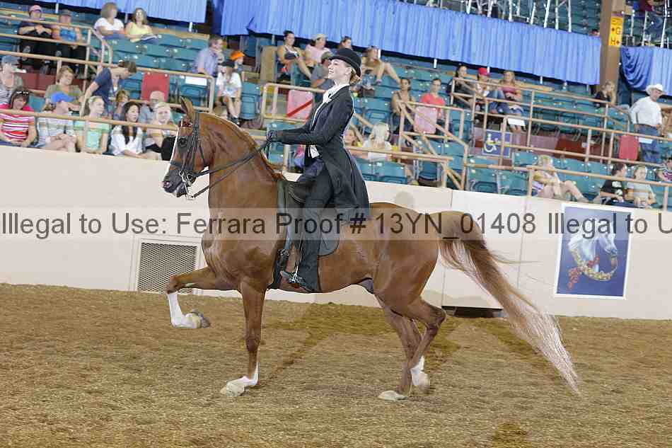 Proof 13yn_01408
