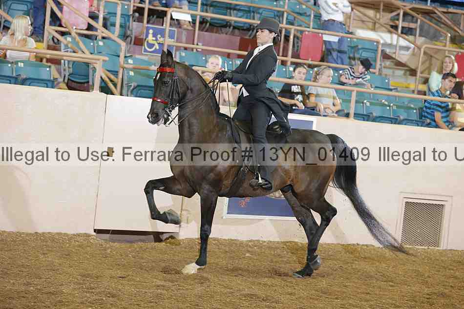 Proof 13yn_01409