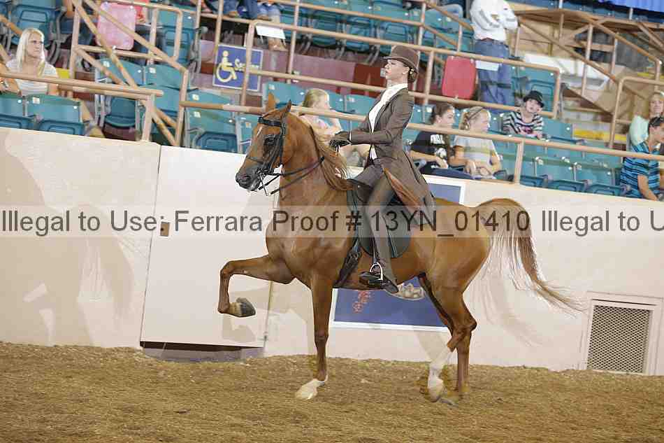 Proof 13yn_01410