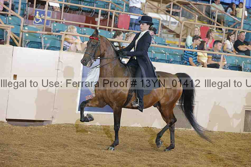 Proof 13yn_01412